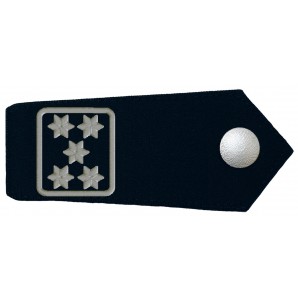 Schulterklappen Brandoberamtsrat/-rätin-0